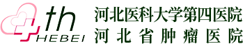 果冻传媒
